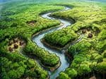 Mencari Nilai dari Hutan Kayan