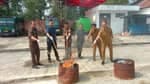 27 Perkara Dimusnahkan Kejari Bulungan, Narkotika Masih Mendominasi
