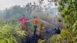 Karhutla di Lumbis Hanguskan Tiga Hektare Lahan Persawahan